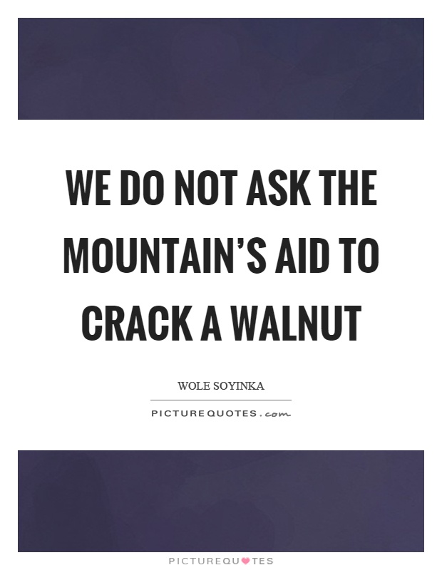 We do not ask the mountain's aid to crack a walnut Picture Quote #1