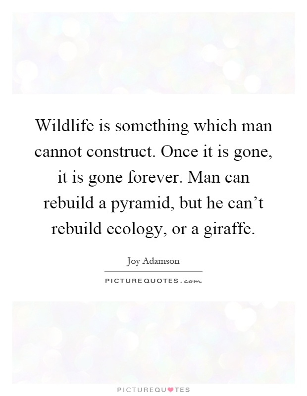 Wildlife is something which man cannot construct. Once it is gone, it is gone forever. Man can rebuild a pyramid, but he can't rebuild ecology, or a giraffe Picture Quote #1