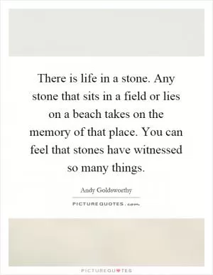 There is life in a stone. Any stone that sits in a field or lies on a beach takes on the memory of that place. You can feel that stones have witnessed so many things Picture Quote #1