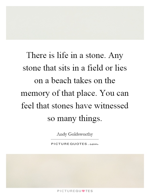 There is life in a stone. Any stone that sits in a field or lies on a beach takes on the memory of that place. You can feel that stones have witnessed so many things Picture Quote #1