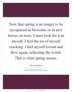 Now that spring is no longer to be recognised in blossoms or in new leaves on trees, I must look for it in myself. I feel the ice of myself cracking. I feel myself loosen and flow again, reflecting the world. That is what spring means Picture Quote #1
