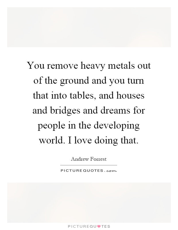 You remove heavy metals out of the ground and you turn that into tables, and houses and bridges and dreams for people in the developing world. I love doing that Picture Quote #1