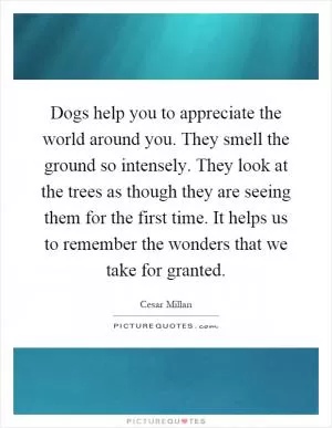 Dogs help you to appreciate the world around you. They smell the ground so intensely. They look at the trees as though they are seeing them for the first time. It helps us to remember the wonders that we take for granted Picture Quote #1
