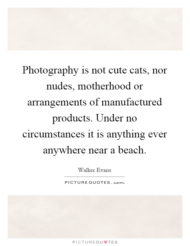 Photography is not cute cats, nor nudes, motherhood or arrangements of manufactured products. Under no circumstances it is anything ever anywhere near a beach Picture Quote #1