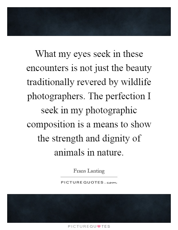 What my eyes seek in these encounters is not just the beauty traditionally revered by wildlife photographers. The perfection I seek in my photographic composition is a means to show the strength and dignity of animals in nature Picture Quote #1