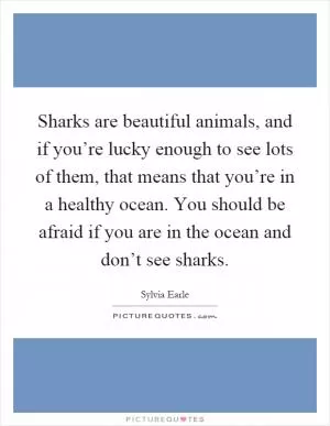 Sharks are beautiful animals, and if you’re lucky enough to see lots of them, that means that you’re in a healthy ocean. You should be afraid if you are in the ocean and don’t see sharks Picture Quote #1