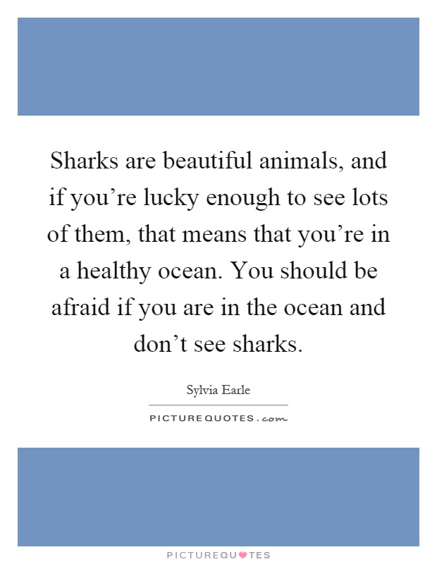 Sharks are beautiful animals, and if you're lucky enough to see lots of them, that means that you're in a healthy ocean. You should be afraid if you are in the ocean and don't see sharks Picture Quote #1