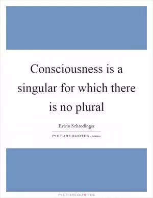 Consciousness is a singular for which there is no plural Picture Quote #1