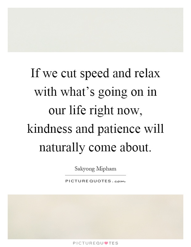 If we cut speed and relax with what's going on in our life right now, kindness and patience will naturally come about Picture Quote #1
