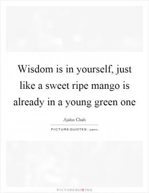 Wisdom is in yourself, just like a sweet ripe mango is already in a young green one Picture Quote #1