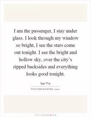 I am the passenger, I stay under glass. I look through my window so bright, I see the stars come out tonight. I see the bright and hollow sky, over the city’s ripped backsides and everything looks good tonight Picture Quote #1
