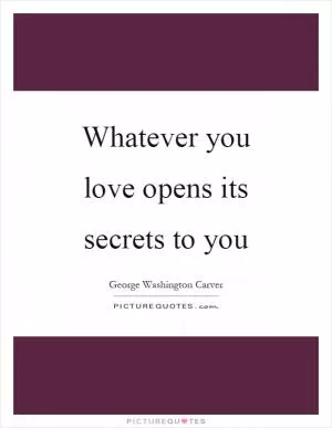 Whatever you love opens its secrets to you Picture Quote #1