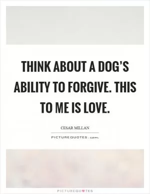 Think about a dog’s ability to forgive. This to me is love Picture Quote #1
