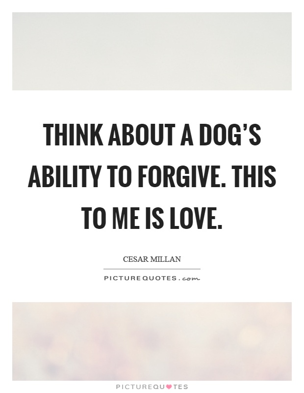 Think about a dog's ability to forgive. This to me is love Picture Quote #1