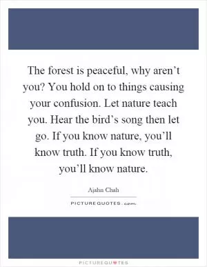 The forest is peaceful, why aren’t you? You hold on to things causing your confusion. Let nature teach you. Hear the bird’s song then let go. If you know nature, you’ll know truth. If you know truth, you’ll know nature Picture Quote #1