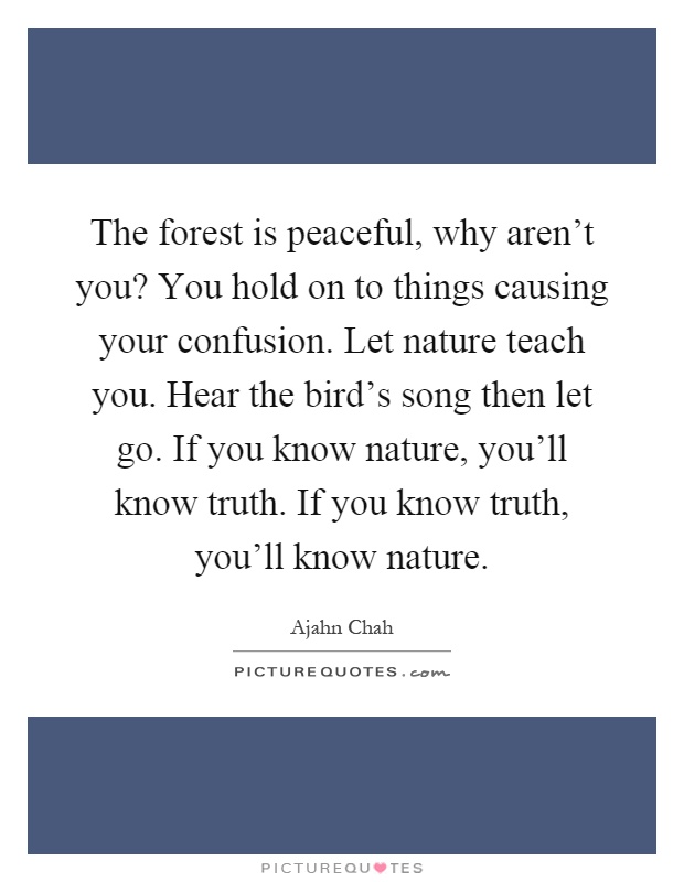 The forest is peaceful, why aren't you? You hold on to things causing your confusion. Let nature teach you. Hear the bird's song then let go. If you know nature, you'll know truth. If you know truth, you'll know nature Picture Quote #1