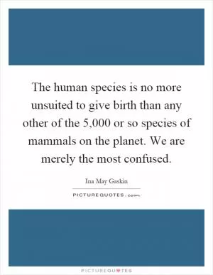 The human species is no more unsuited to give birth than any other of the 5,000 or so species of mammals on the planet. We are merely the most confused Picture Quote #1