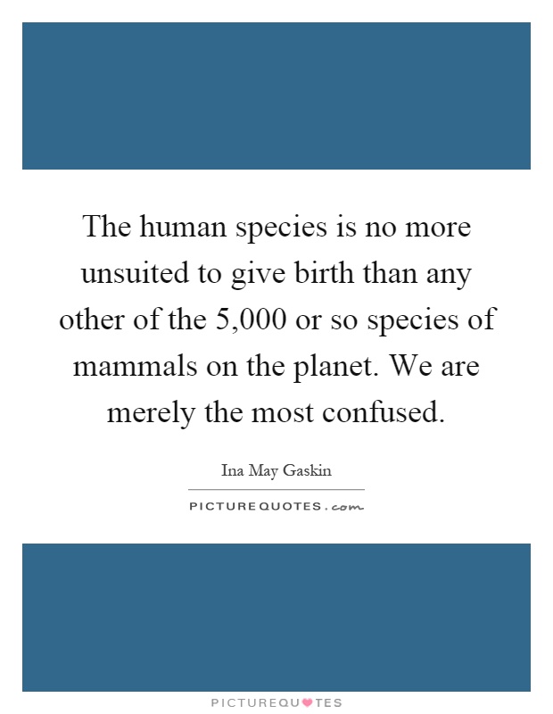 The human species is no more unsuited to give birth than any other of the 5,000 or so species of mammals on the planet. We are merely the most confused Picture Quote #1