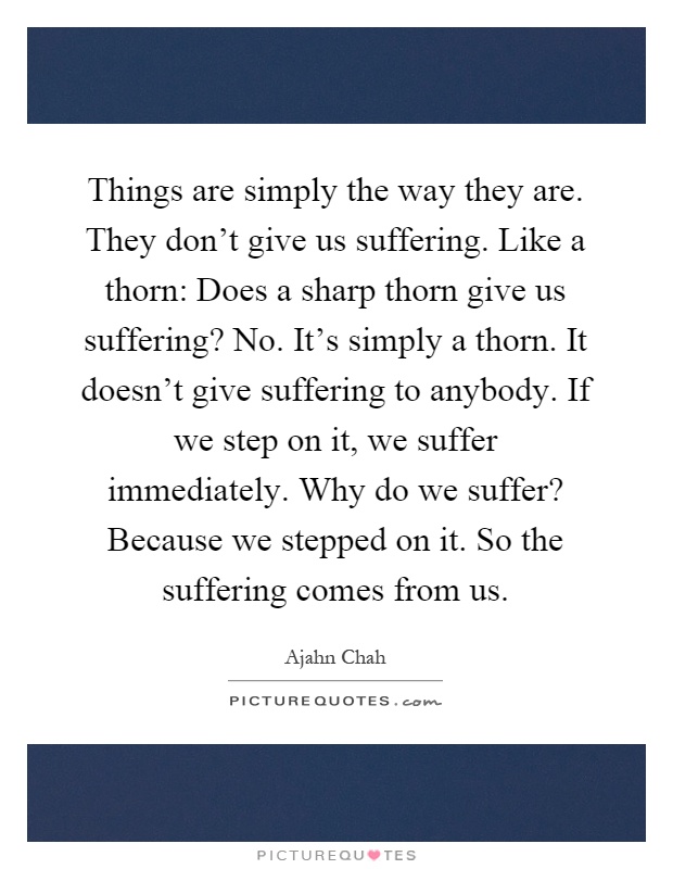 Things are simply the way they are. They don't give us suffering. Like a thorn: Does a sharp thorn give us suffering? No. It's simply a thorn. It doesn't give suffering to anybody. If we step on it, we suffer immediately. Why do we suffer? Because we stepped on it. So the suffering comes from us Picture Quote #1