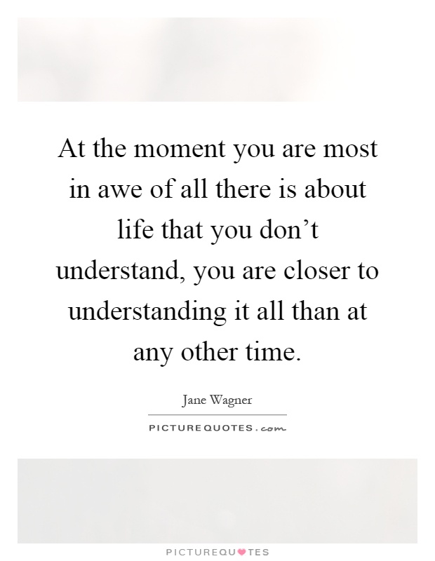 At the moment you are most in awe of all there is about life that you don't understand, you are closer to understanding it all than at any other time Picture Quote #1