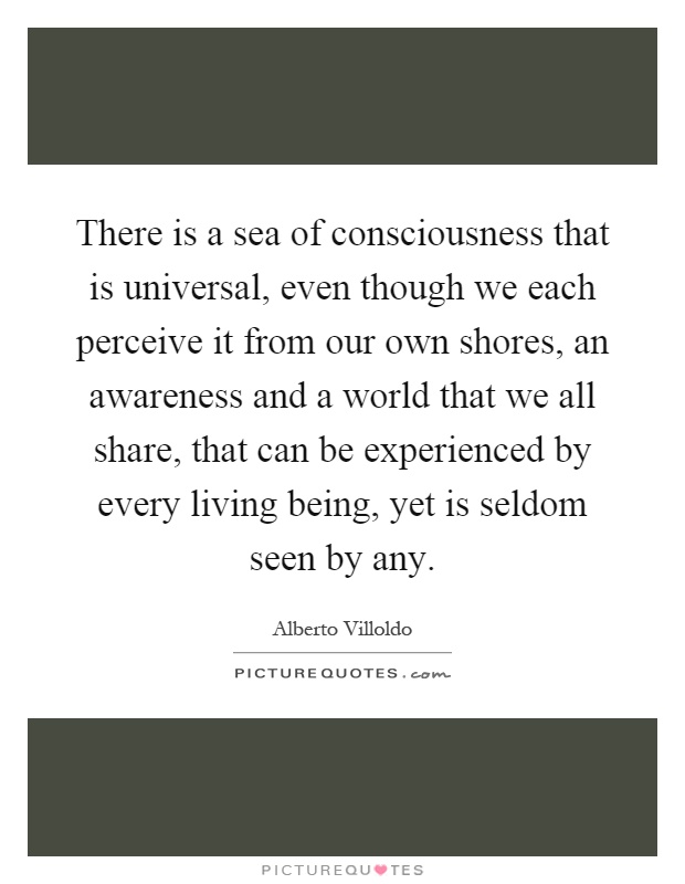 There is a sea of consciousness that is universal, even though we each perceive it from our own shores, an awareness and a world that we all share, that can be experienced by every living being, yet is seldom seen by any Picture Quote #1