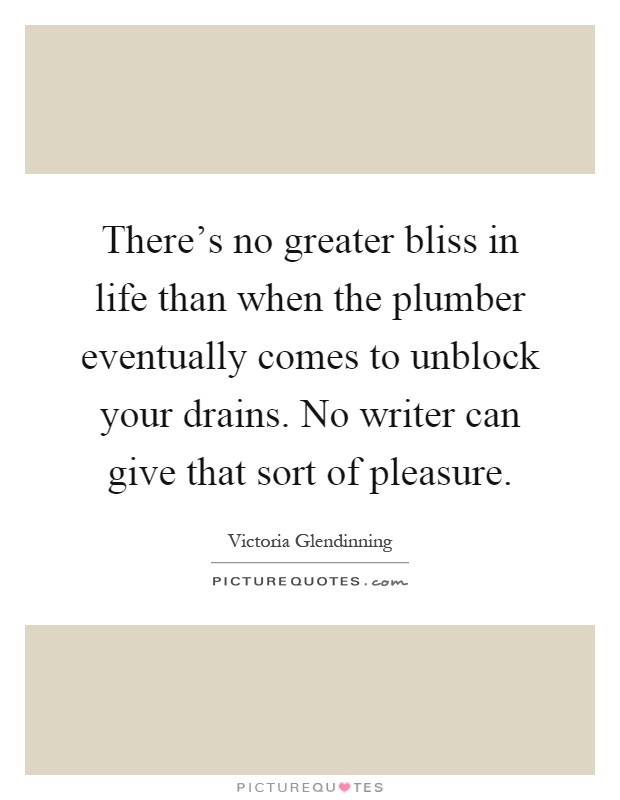 There's no greater bliss in life than when the plumber eventually comes to unblock your drains. No writer can give that sort of pleasure Picture Quote #1