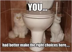 You... had better make the right choices here Picture Quote #1
