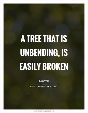 A tree that is unbending, is easily broken Picture Quote #1