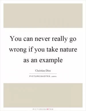 You can never really go wrong if you take nature as an example Picture Quote #1