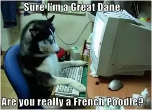 Sure I’m a Great Dane. Are you really a French Poodle? Picture Quote #1