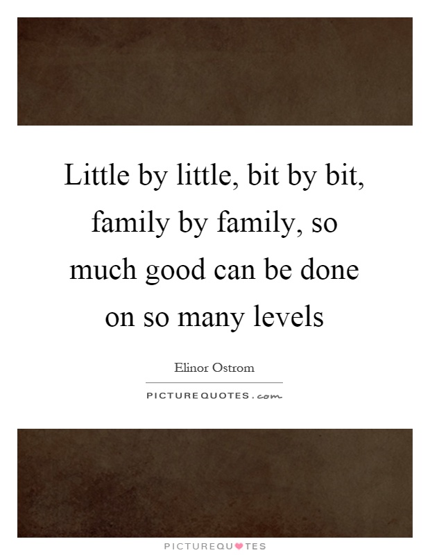 Little by little, bit by bit, family by family, so much good can be done on so many levels Picture Quote #1