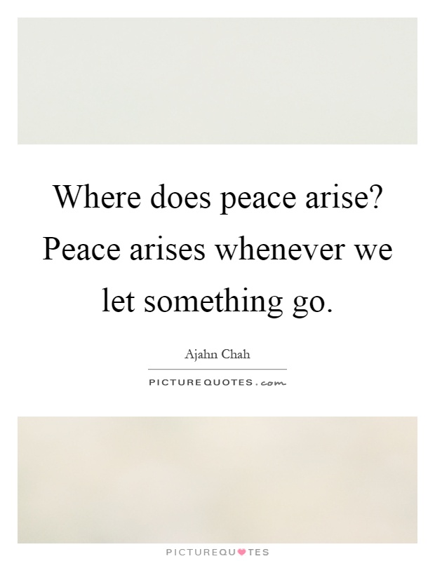 Where does peace arise? Peace arises whenever we let something go Picture Quote #1