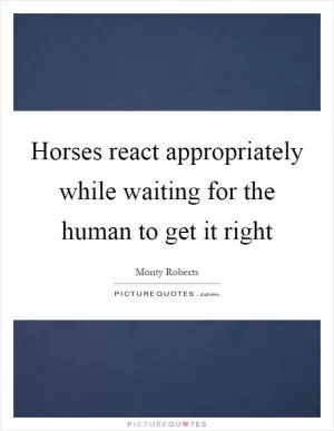 Horses react appropriately while waiting for the human to get it right Picture Quote #1