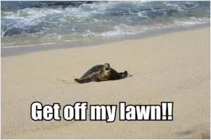 Get off my lawn!! Picture Quote #1