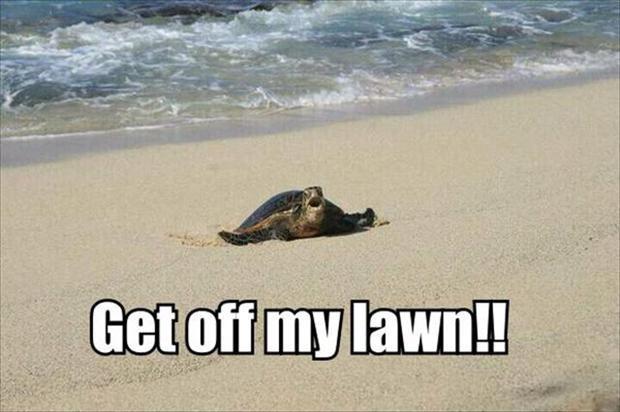 Get off my lawn!! Picture Quote #1