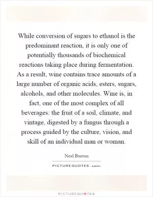 While conversion of sugars to ethanol is the predominant reaction, it is only one of potentially thousands of biochemical reactions taking place during fermentation. As a result, wine contains trace amounts of a large number of organic acids, esters, sugars, alcohols, and other molecules. Wine is, in fact, one of the most complex of all beverages: the fruit of a soil, climate, and vintage, digested by a fungus through a process guided by the culture, vision, and skill of an individual man or woman Picture Quote #1