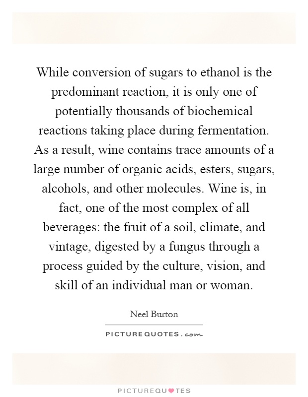 While conversion of sugars to ethanol is the predominant reaction, it is only one of potentially thousands of biochemical reactions taking place during fermentation. As a result, wine contains trace amounts of a large number of organic acids, esters, sugars, alcohols, and other molecules. Wine is, in fact, one of the most complex of all beverages: the fruit of a soil, climate, and vintage, digested by a fungus through a process guided by the culture, vision, and skill of an individual man or woman Picture Quote #1