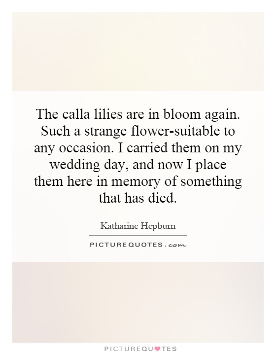 The calla lilies are in bloom again. Such a strange flower-suitable to any occasion. I carried them on my wedding day, and now I place them here in memory of something that has died Picture Quote #1