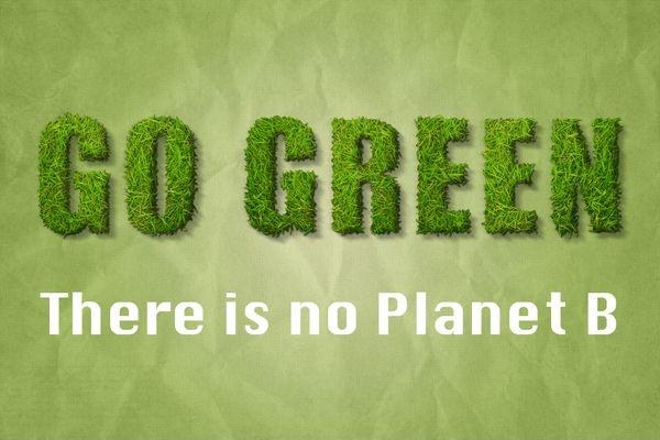 Go green. There is no Planet B Picture Quote #1