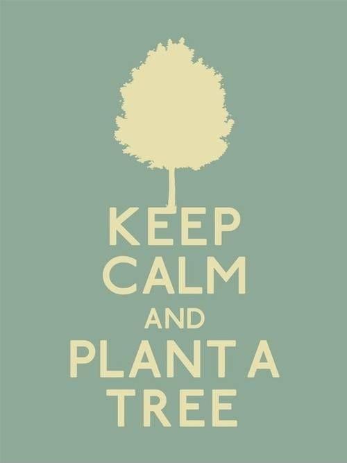Keep calm and plant a tree Picture Quote #1