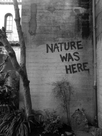 Nature was here Picture Quote #1