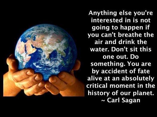 Anything else you're interested in is not going to happen if you can't breathe the air and drink the water. Don't sit this one out. Do something. You are by accident of fate alive at an absolutely critical moment in the history of the planet Picture Quote #1