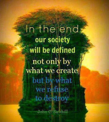 In the end our society will be defined not only by what we create but by what we refuse to destroy Picture Quote #1