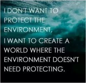 I don't want to protect the environment, I want to create a world where the environment doesn't need protecting Picture Quote #1