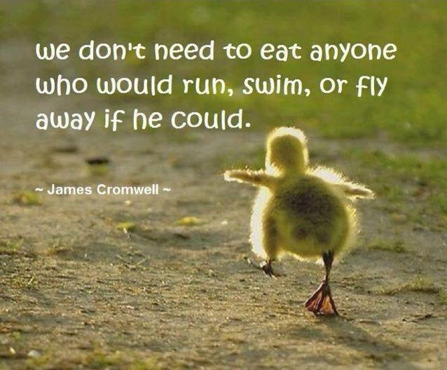 We don't need to eat anyone who would run, swim, or fly away if he could Picture Quote #1