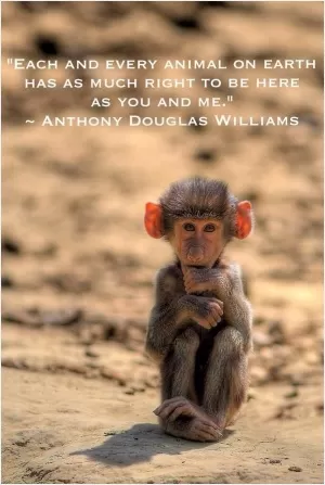Each and every animal on Earth has as much right to be here as you and me Picture Quote #1