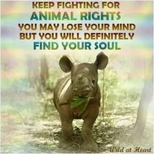 Keep fighting for animal rights. You may lose your mind but you will definitely find your soul Picture Quote #1