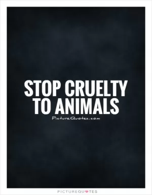 Stop cruelty to animals Picture Quote #1
