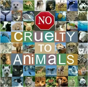 No cruelty to animals Picture Quote #1