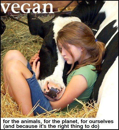Vegan. For the animals, for the planet, for ourselves (and because it's the right thing to do) Picture Quote #1